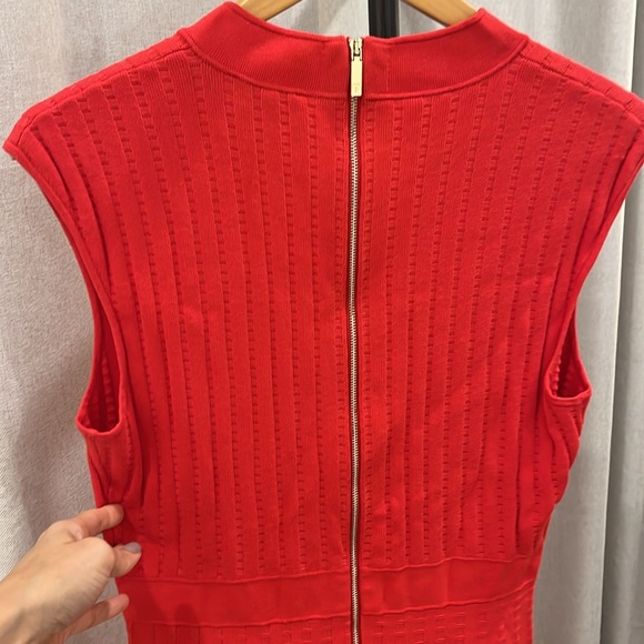 Ted Baker Dress - Picture 5 of 5